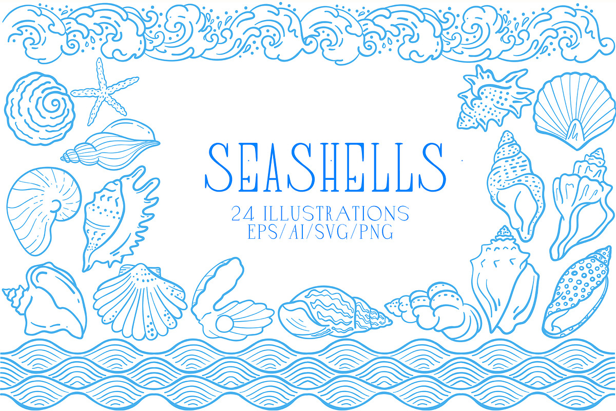 Seashells Lineart, a Seasonal Illustration by Carpet Tapete Pretzel (Photo 1 of 8)