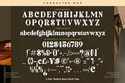 Bardes Modern Retro Serif Font, a Serif Font by timelesstype.co (Thumbnail 18 of 20)