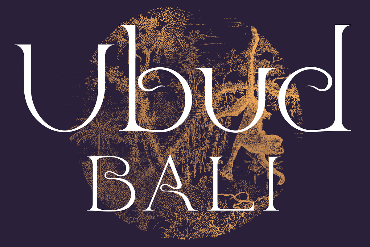 Ubud. Contemporary serif font, a Serif Font by LostandFoundry (Photo 1 of 8)