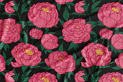 Peony flowers patterns, backgrounds, a Decorative Illustration by Good Studio (Thumbnail 11 of 11)