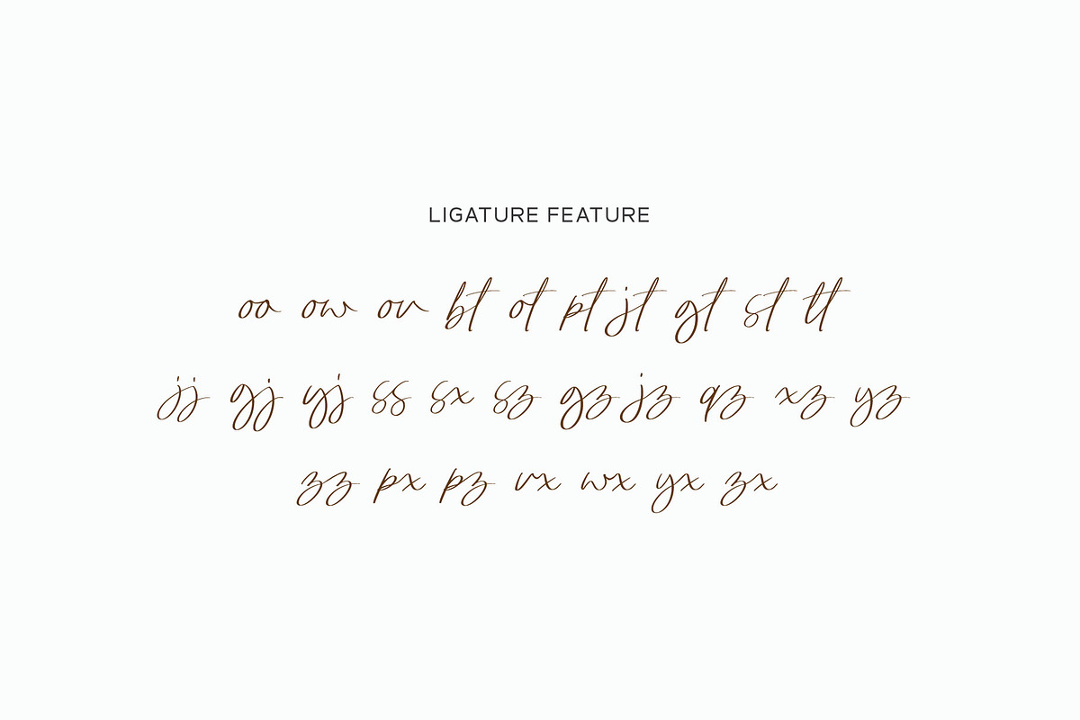 Bowthen Signature, a Script Font by Pustudio (Photo 4 of 6)
