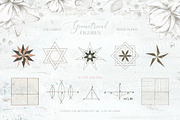 Delicate Watercolor Florals, a Decorative Illustration by Eva Katerina (Thumbnail 13 of 25)