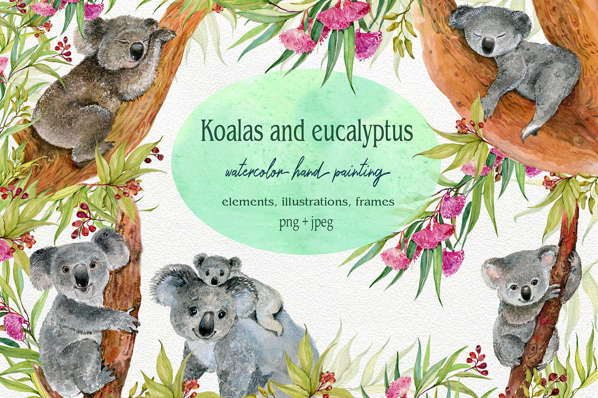 Koala & eucalyptus set illustration, an Animal Illustration by MitrushovaArt (Photo 1 of 7)