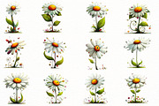 Whimsical white daisy Clipart, an Illustration by Designworld (Thumbnail 2 of 8)
