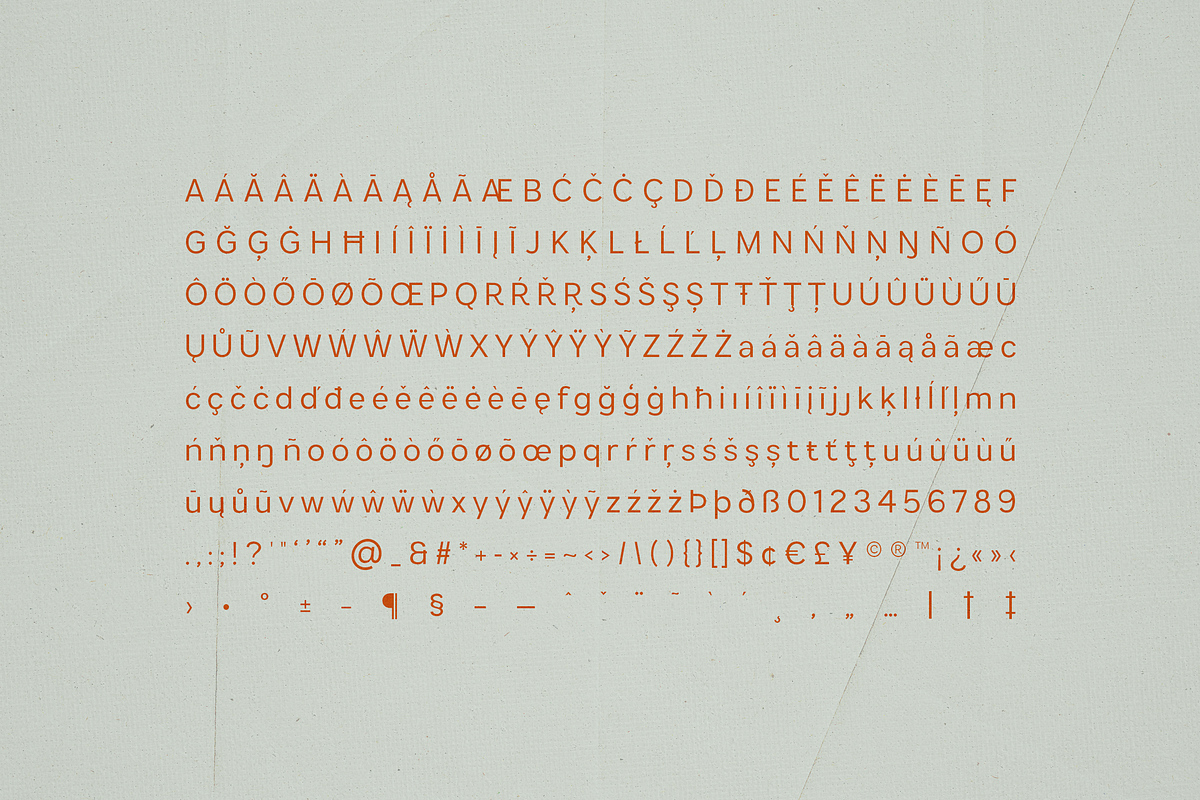 Armonia - Creative Font Duo, a Serif Font by VP Fonts (Photo 18 of 20)