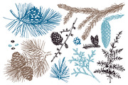 Vintage Winter Plants Collection, an Object Graphic by Yevheniia (Thumbnail 3 of 8)