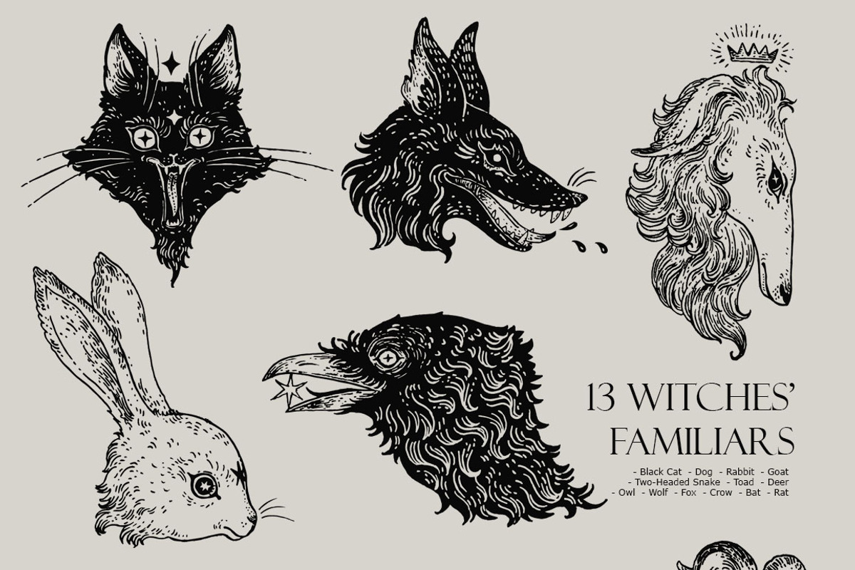 13 Witches' Familiars, an Illustration by Anastasia (Photo 3 of 8)