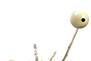 Smarty Planty - Plant life creator, a Product Mockup by envirographic (Thumbnail 16 of 24)