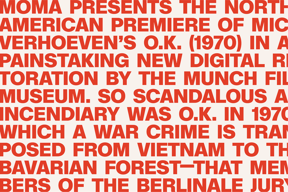 BN Hillside Grotesk, a Sans Serif Font by Bnick (Photo 5 of 14)