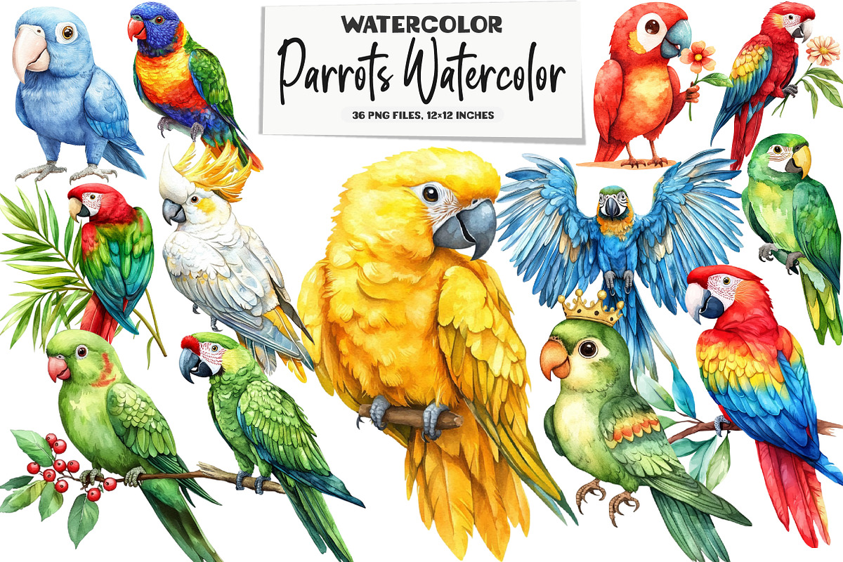 Parrots Watercolor Clipart, an Illustration by DreamArtGraphic (Photo 1 of 5)
