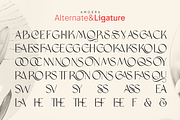Amoera Elegant Serif Display Font, a Serif Font by Vampstudio (Thumbnail 14 of 14)