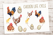 Big Life Cycle Bundle, an Education Illustration by Tati Bordiu (Thumbnail 12 of 43)