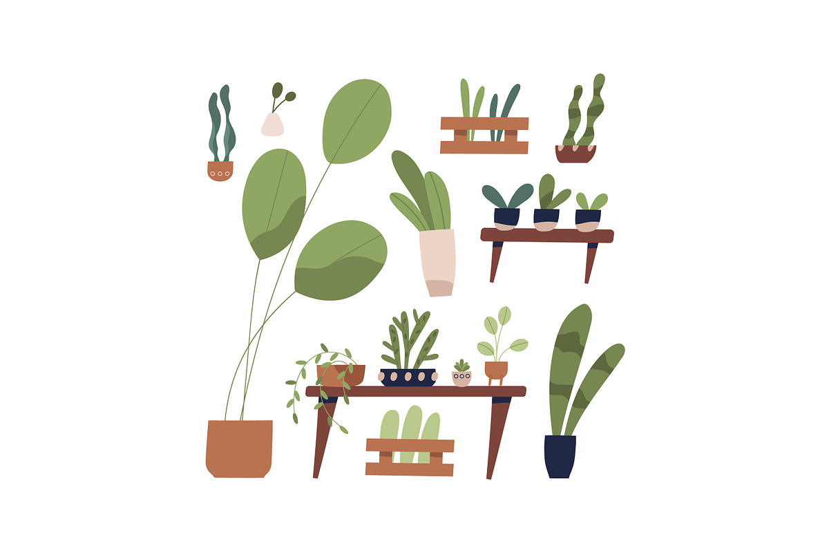 Houseplants, flowers in pots set, a Decorative Illustration by Good Studio (Photo 2 of 3)