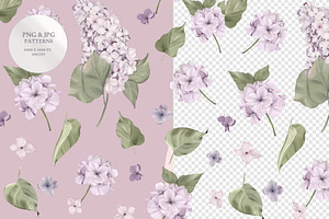 Lilac Seamless Pattern And Graphic