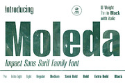 Moleda - Impact Sans Serif Family, a Font by haniefart (Thumbnail 1 of 12)