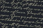 Mastine - Elegant Handwritten Font, a Handwritten Font by Basnistudio (Thumbnail 3 of 16)