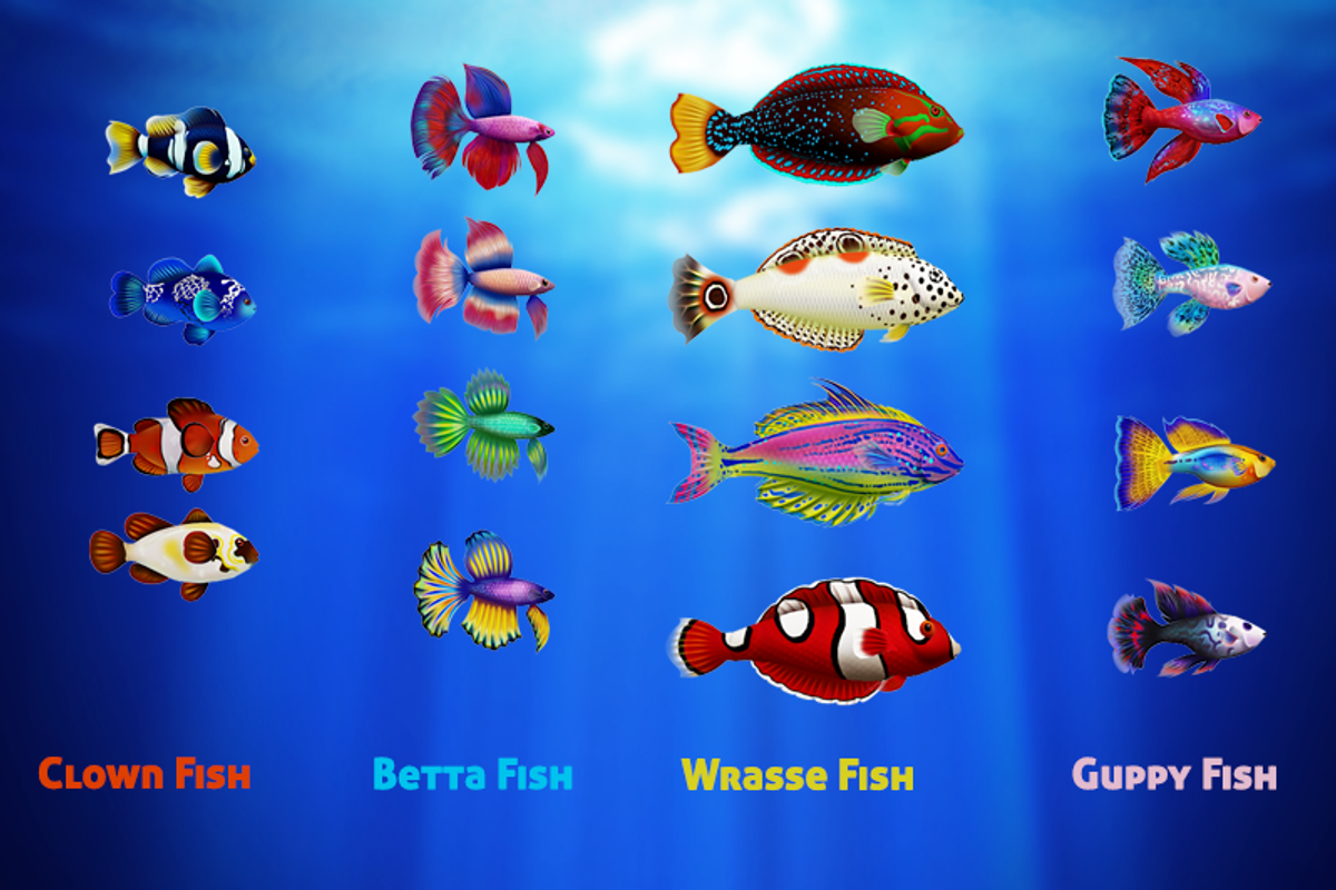 Sea Fish Mega Pack, an Animal 3D Model by Souchenki (Photo 4 of 13)