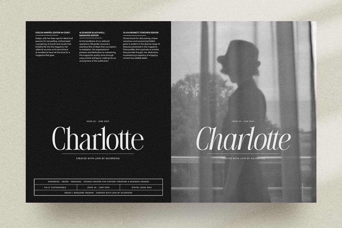 The Silver Editorial Serif Font, a Serif Font by SilverStag Type Foundry (Photo 18 of 25)