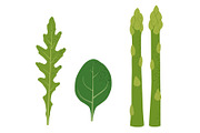 Vegetable garden. Vector., a Food Illustration by Paper Cards (Thumbnail 5 of 5)