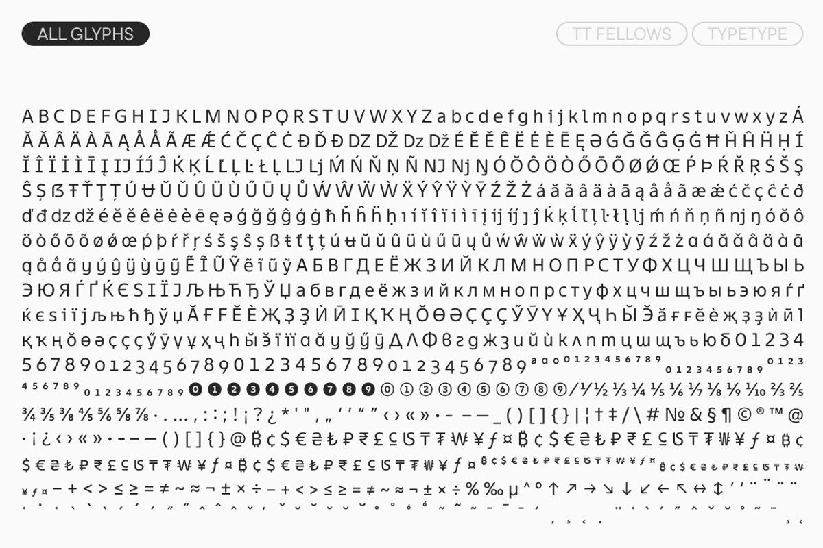 TT Fellows, a Sans Serif Font by TypeType (Photo 10 of 15)