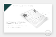 20 Tropical Stamps for Procreate, a Brush Add-On by SorrDesign (Thumbnail 4 of 5)