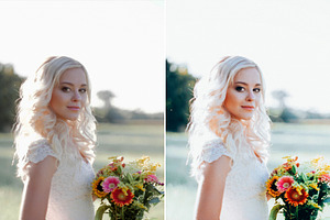 Fine Art Wedding Lightroom Presets