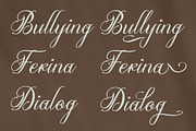 Olydemi | Beauty Script, a Script Font by Denustudios (Thumbnail 6 of 13)