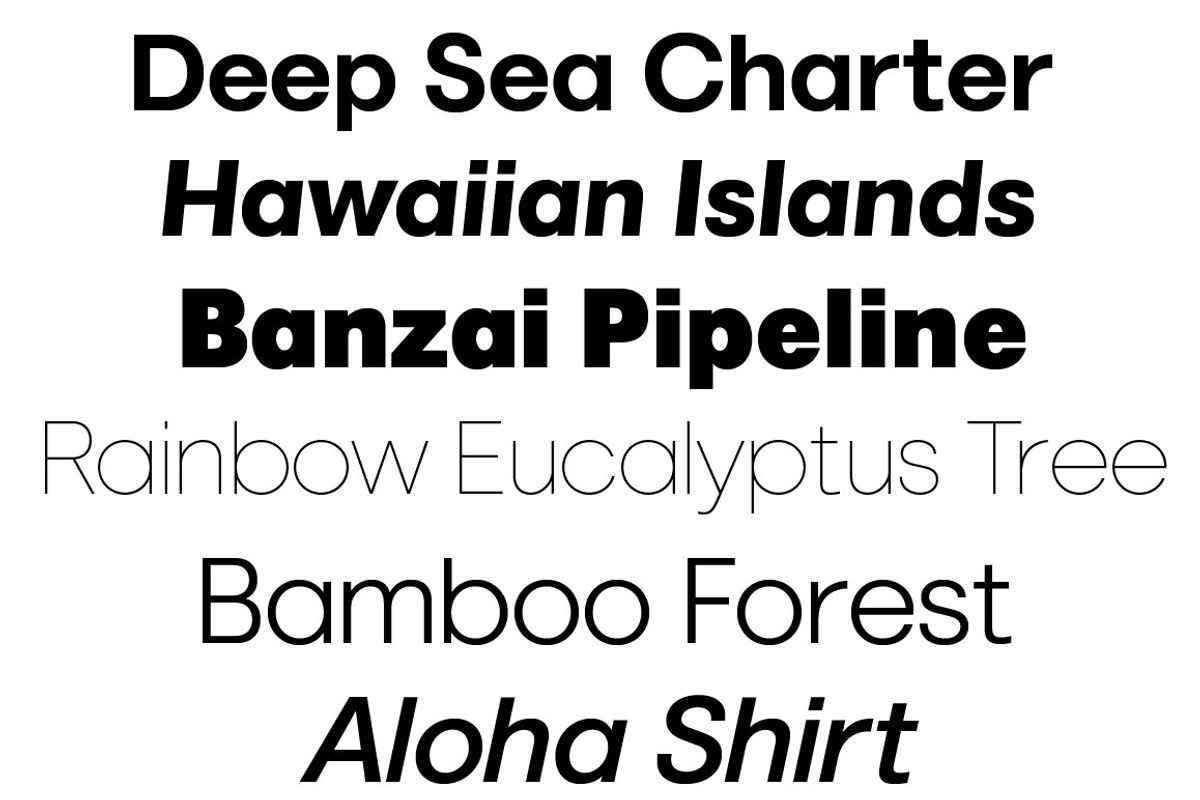 Marlin Sans SQ Upright Italic+Slant, a Font by FontMesa (Photo 3 of 10)