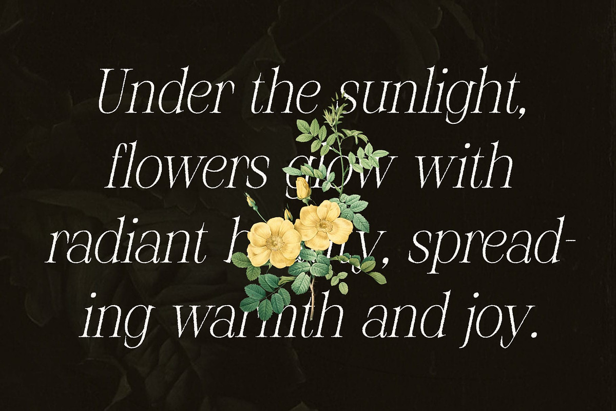 Risley Rough, a Serif Font by Craft Supply Co. (Photo 3 of 8)