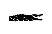 Crocodile Alligator Vector Bundle, an Illustration by jahid234 (Thumbnail 18 of 51)