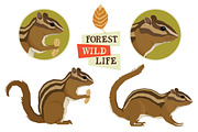 Chipmunk Forest Wildlife set, an Object Graphic by Nenilkime (Thumbnail 1 of 7)