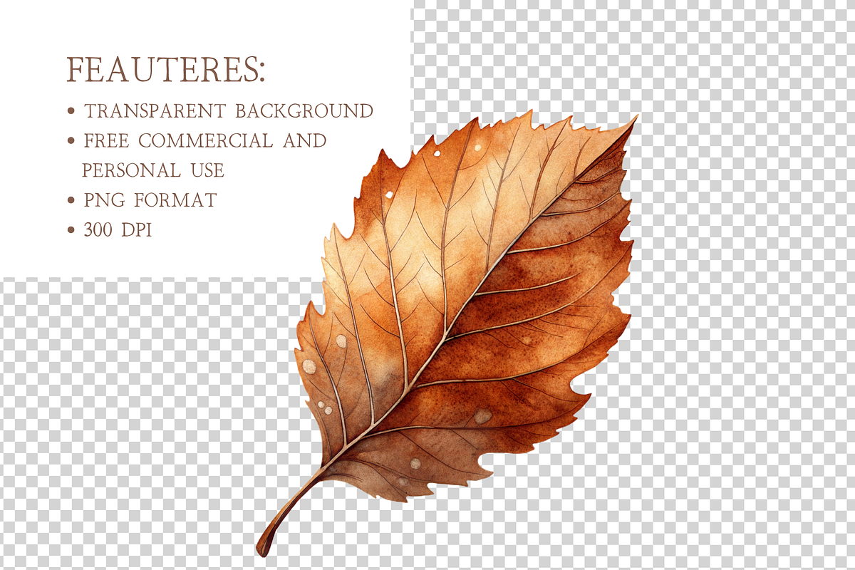 Autumn Leaves Clipart, a Decorative Illustration by MockupWizard (Photo 4 of 5)