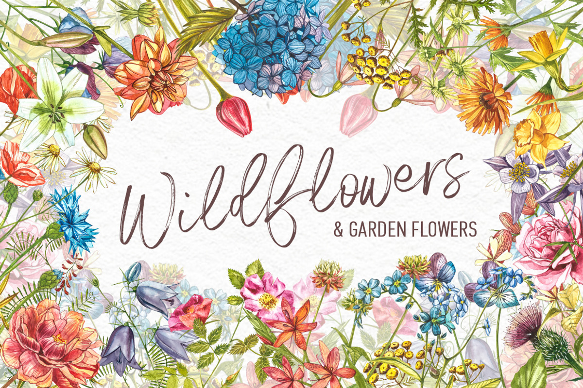 Wildflowers & Gardenflowers clipart, a Decorative Illustration by Ann Astro (Photo 1 of 9)