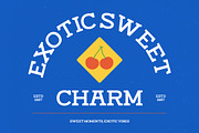 Rotter Damn Slab Serif Display, a Slab Serif Font by timelesstype.co (Thumbnail 2 of 15)