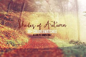 Shades Of Autumn