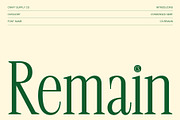 CS Remain – Classic Serif Font, a Serif Font by Craft Supply Co. (Thumbnail 1 of 8)