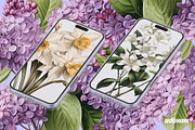 Vintage Book Of Flowers Clipart, an Object Graphic by angelainthefields (Thumbnail 15 of 18)