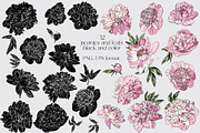 Female bodies and line art peonies, an Object Graphic by Vera●Suleimanova (Thumbnail 13 of 17)