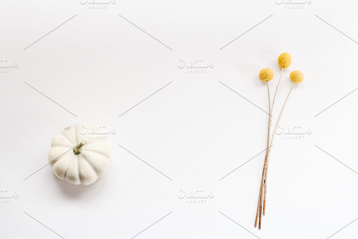 White October - Styled Stock Photo, a Background Photo by SunnyTangerine Stock (Photo 2 of 3)