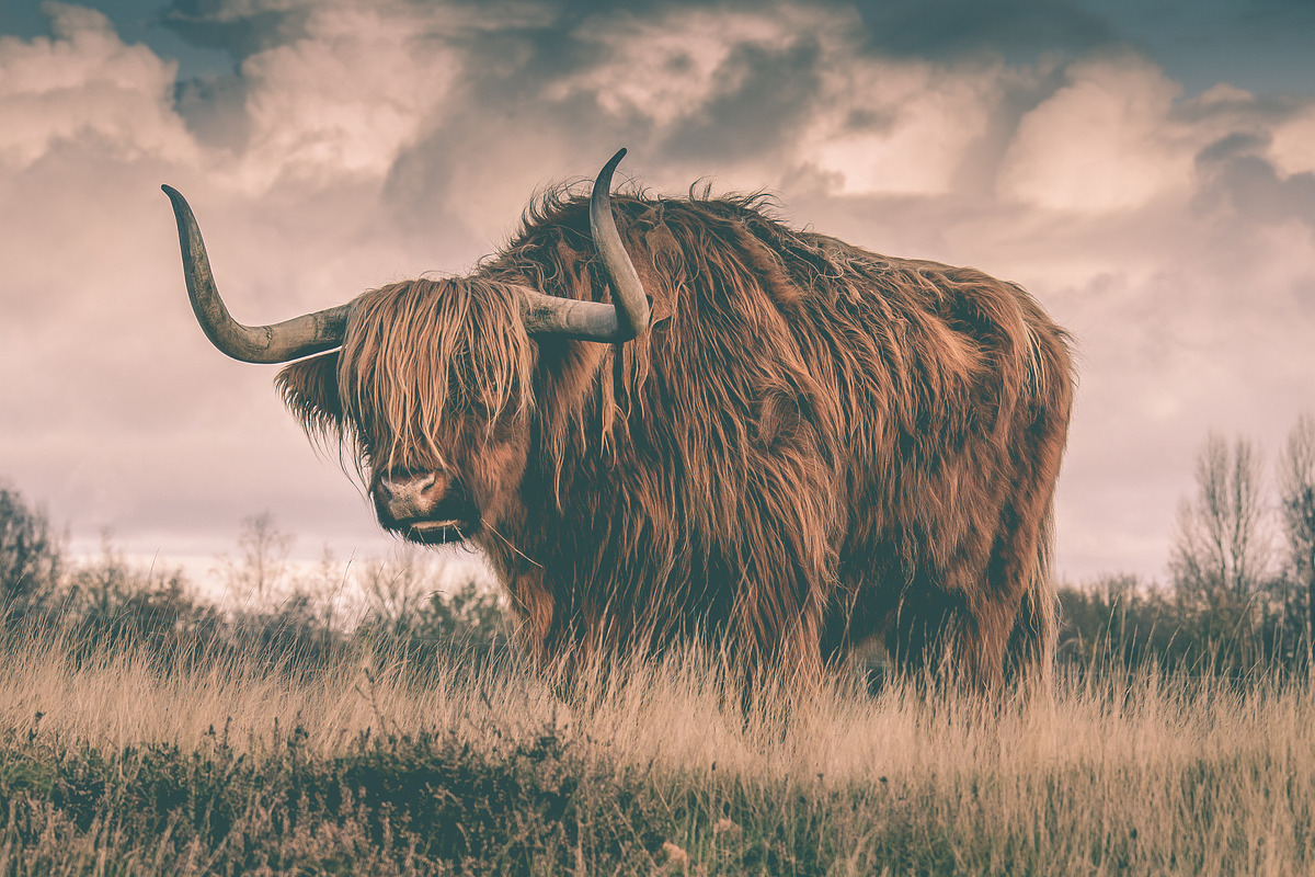 300 Professional Lightroom Presets, an Action Add-On by Madison Colt Studios (Photo 29 of 29)