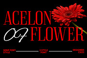 Acelon – Condensed Serif, a Sans Serif Font by Craft Supply Co. (Thumbnail 1 of 8)