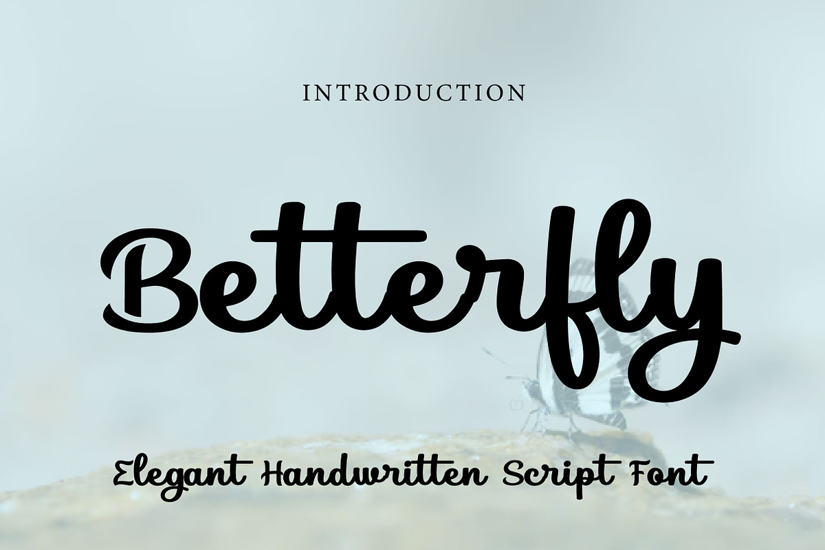 Betterfly, a Script Font by Wow Magic (Photo 1 of 3)
