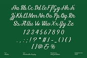 Andien Script Font, a Script Font by GRVS Studio (Thumbnail 2 of 4)