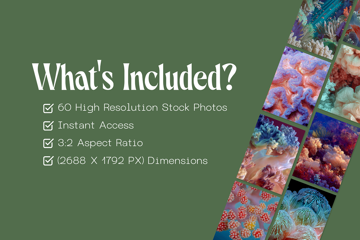 60 Coral Reef Stock Photos, a Nature Photo by Incomelion (Photo 6 of 14)