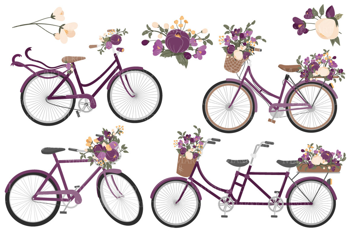 Plum Floral Bicycle Vector Clipart, an Illustration by Amanda Ilkov (Photo 3 of 5)