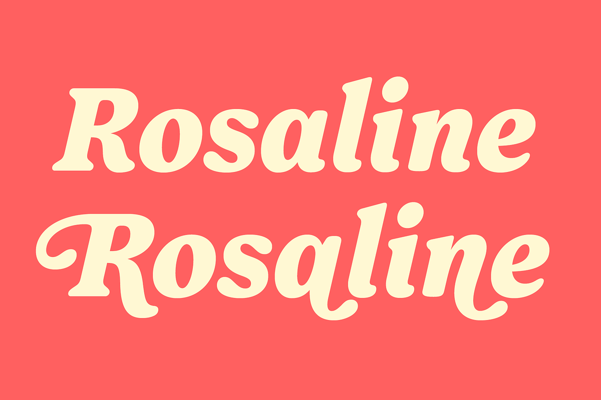 Forrest Friendly Serif Family, a Serif Font by Fenotype (Photo 11 of 12)