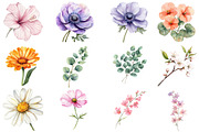 Wildflower Watercolor Flower Clipart, an Illustration by DreamCafeArt (Thumbnail 4 of 8)
