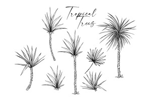 Palm Trees Tropical Vector Plants