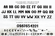 Special Handmade, a Script Font by InermediaSTUDIO (Thumbnail 2 of 8)