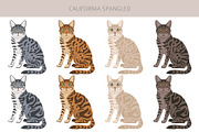 California Spangled Cat clipart set, an Animal Illustration by pet design shop (Thumbnail 3 of 6)